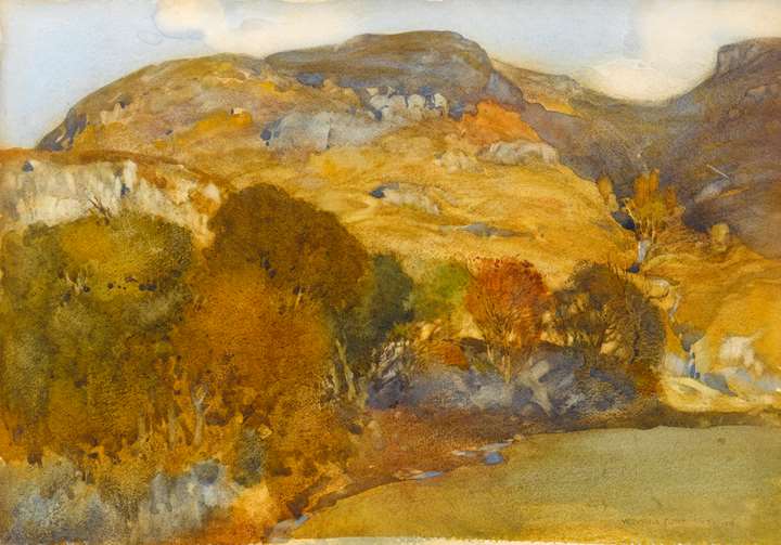 Perthshire Hillside in Autumn